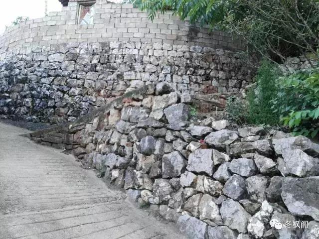 一只眼睛的动物,一只眼睛的鱼类