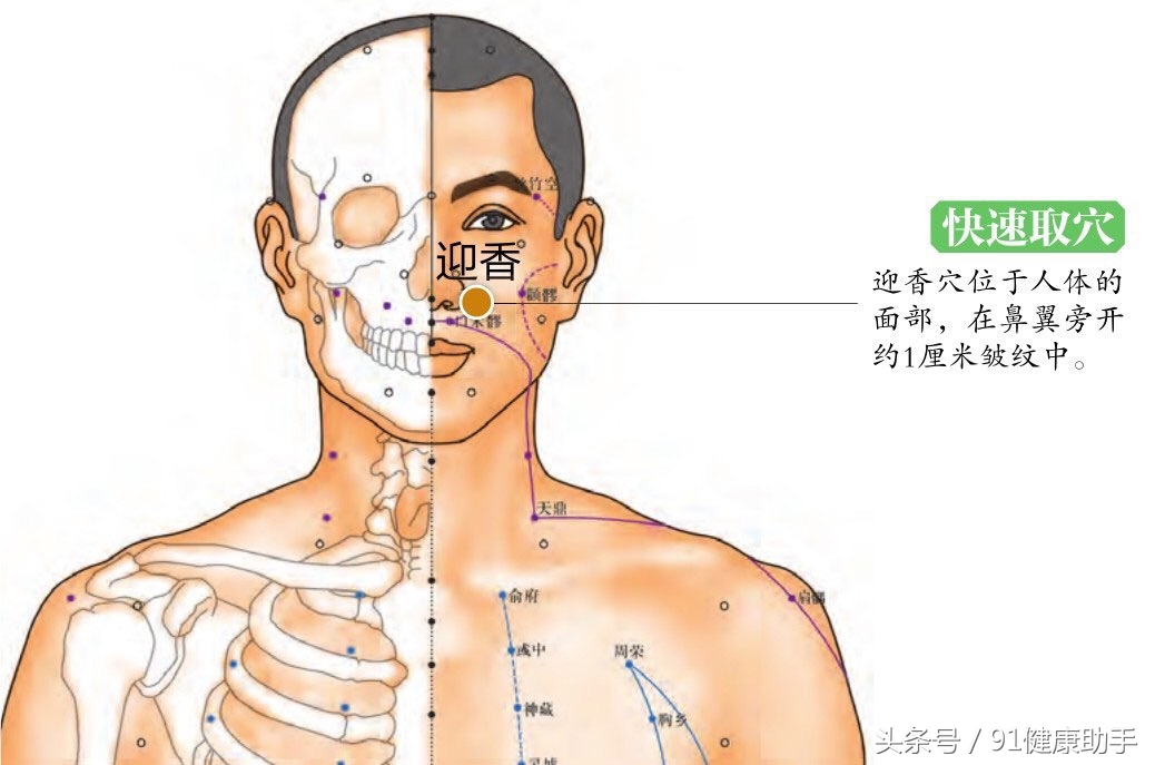 穴位养生｜流鼻涕、鼻塞、过敏性鼻炎按迎香穴，祛风通窍理气止痛