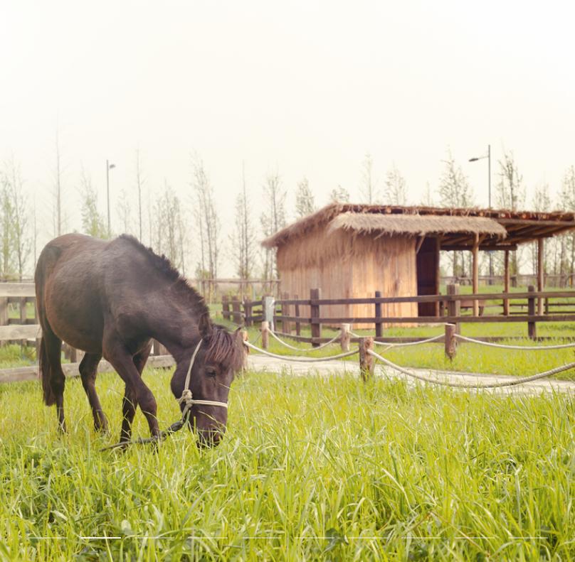 高端度假酒店花间堂,西安花间堂度假酒店