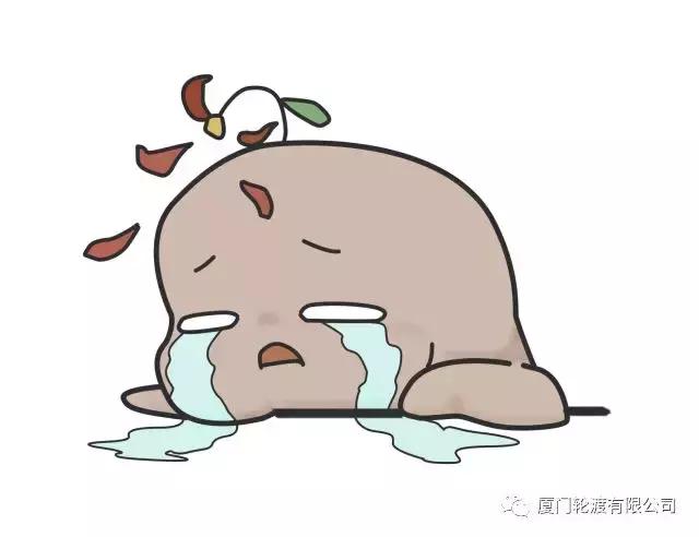 春节鼓浪屿船票提前预订 (春节鼓浪屿船票免费吗)