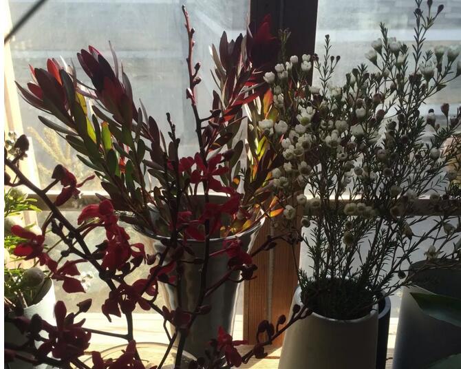 暴走北京中轴线,闲逛什刹海游胡同观后海