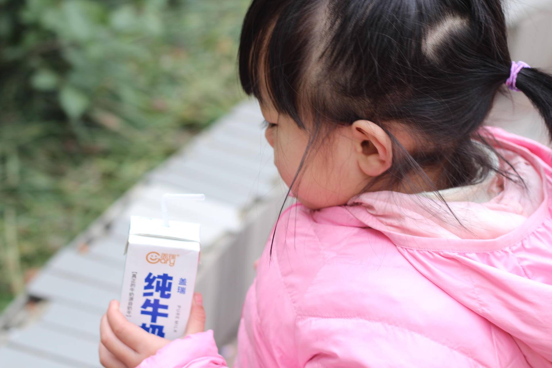 盖瑞新疆纯牛奶,盖瑞纯牛奶品种