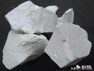 河蟹塘清塘的一些关注事项,河蟹塘消毒用什么好