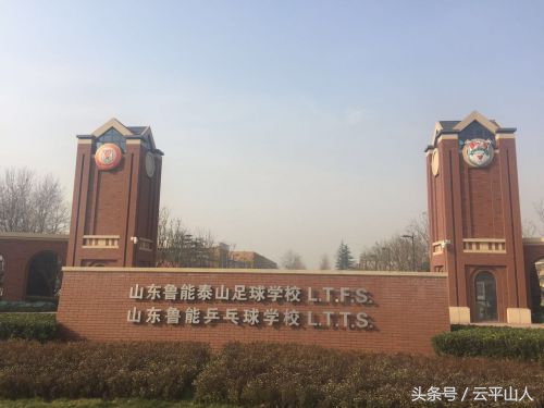 谭朝晖鲁能,鲁能谭朝晖