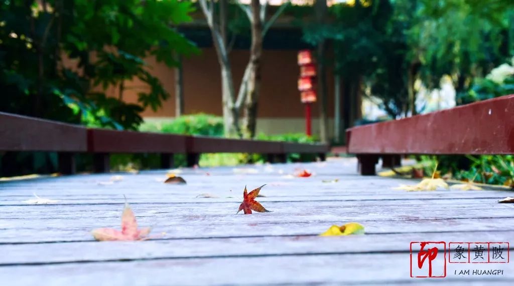 蔡店榨油,蔡店美发店