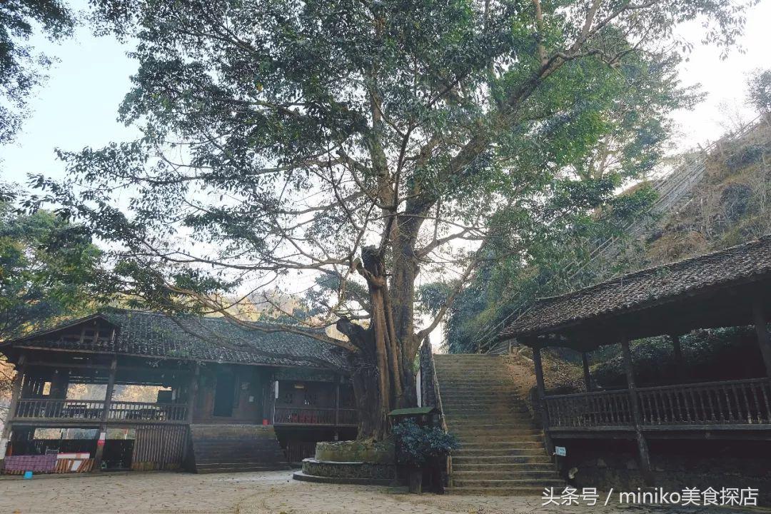 春节亲子两天一夜的旅游地方推荐,春节不挤的自驾路线