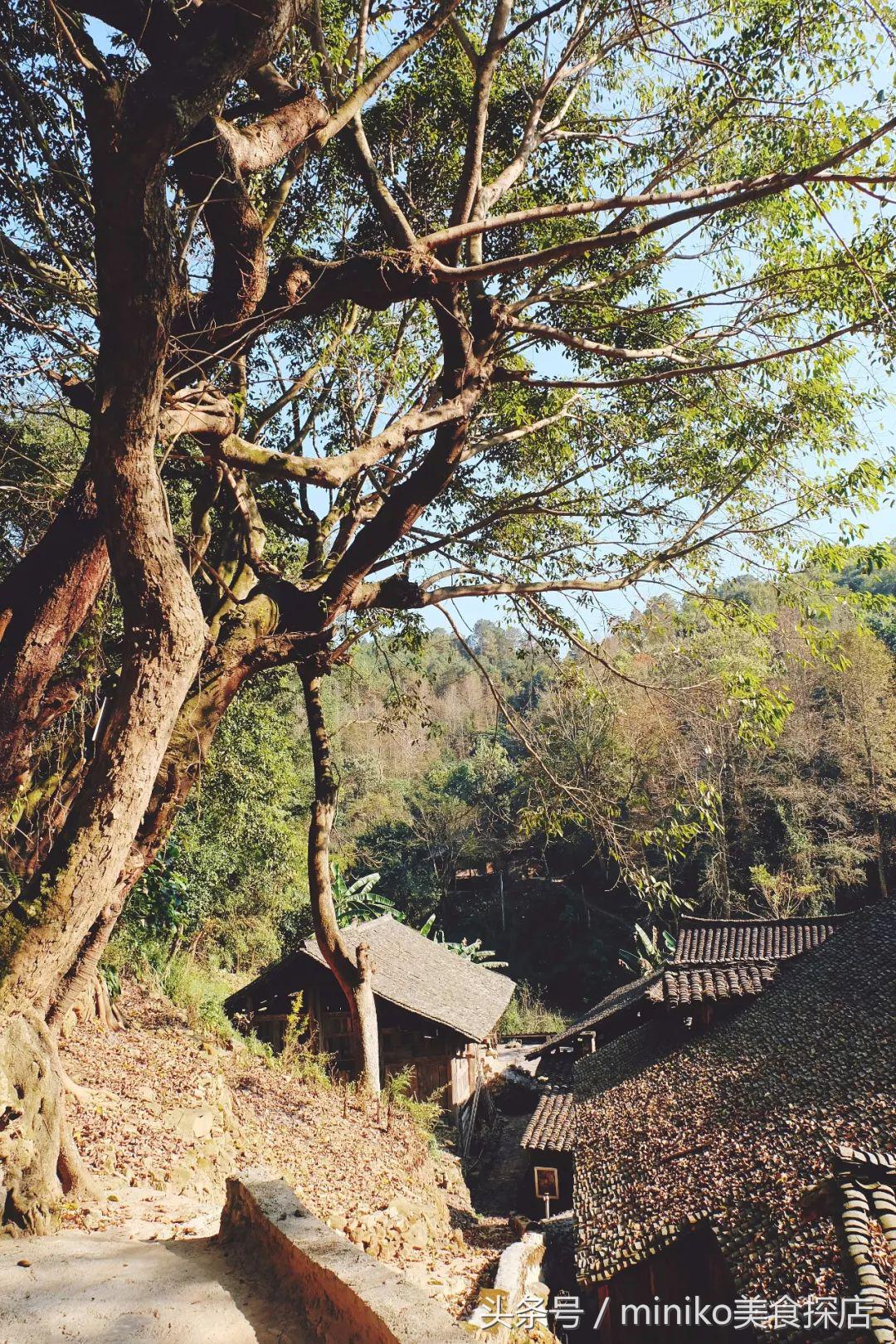 春节亲子两天一夜的旅游地方推荐,春节不挤的自驾路线