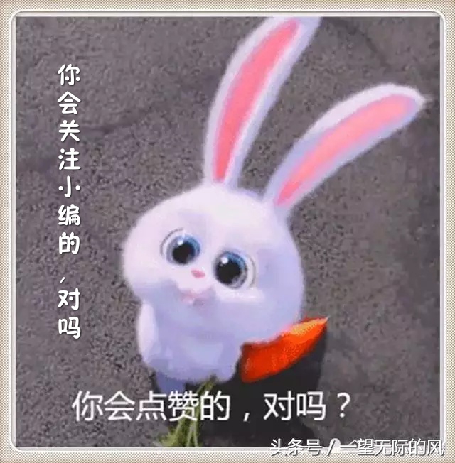 自制爆浆大鸡排香酥鲜嫩超过瘾,外酥里嫩的鸡排