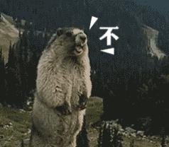 微信投票每天能投几次,微信投票详细数据