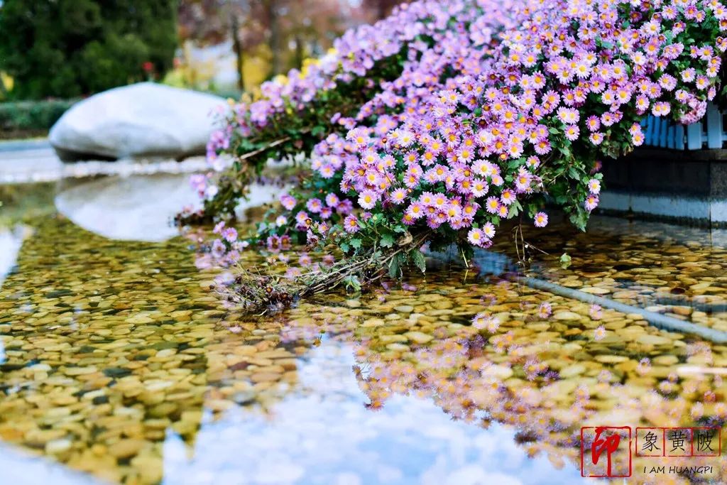 蔡店榨油,蔡店美发店