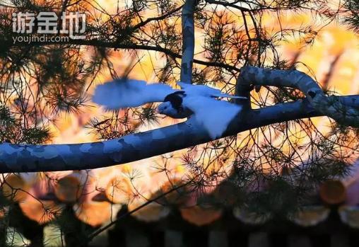 战胜自我心中的迷茫,战胜人生