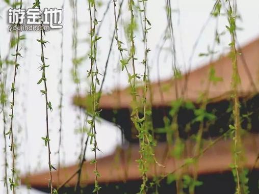 战胜自我心中的迷茫,战胜人生