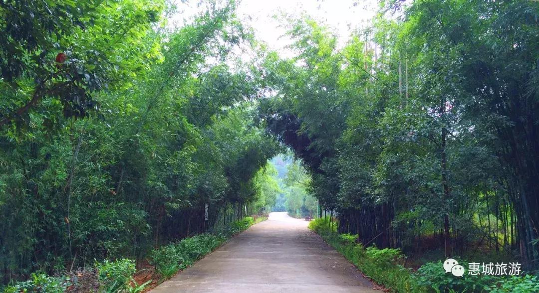 有颜值又有内涵惠城这张旅游名片送给你收好不谢！