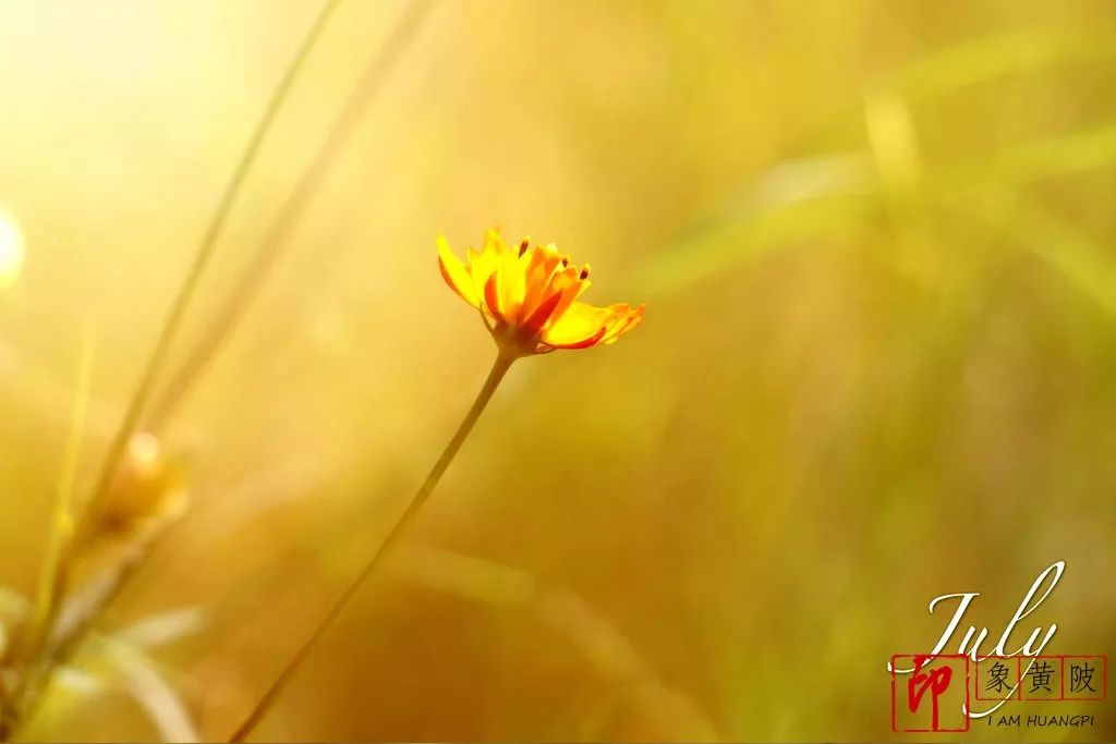 蔡店榨油,蔡店美发店