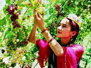 从新疆回去带点什么特产东西好呢,过年回家带的土特产