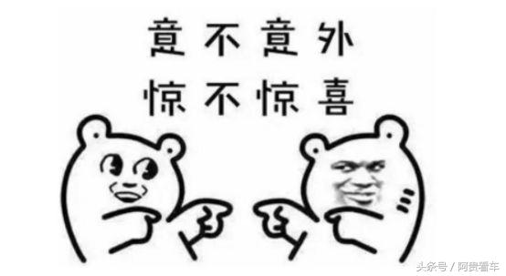 2017年最火的车,2017年哪些车卖得好