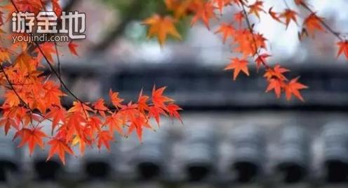 战胜自我心中的迷茫,战胜人生