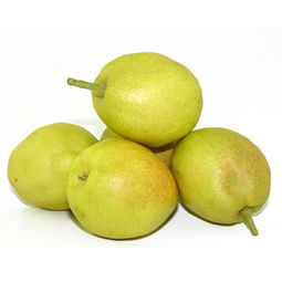 从新疆回去带点什么特产东西好呢,过年回家带的土特产