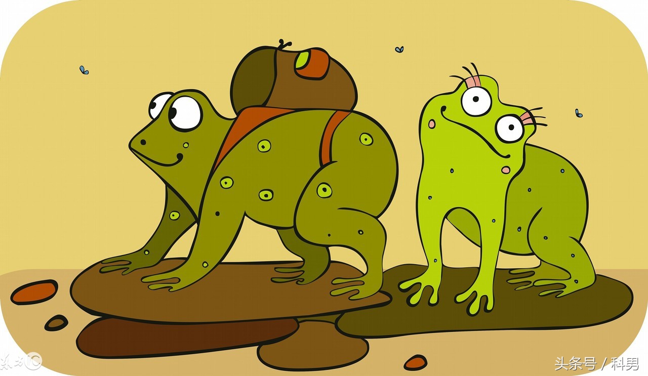 我犹如一个母亲：旅蛙（旅かえる）的人性上瘾设计