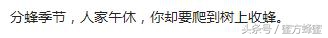 蜂农的心声,记录蜂农生活点滴