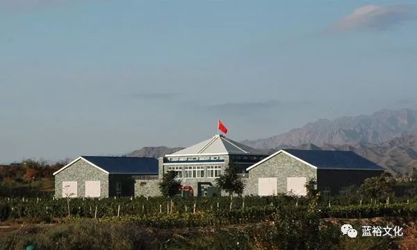 宁夏最值得去的十大红酒酒庄排名,宁夏值得一去的十大酒庄