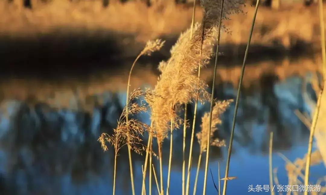 张家口下花园推荐,低调奢华的小城