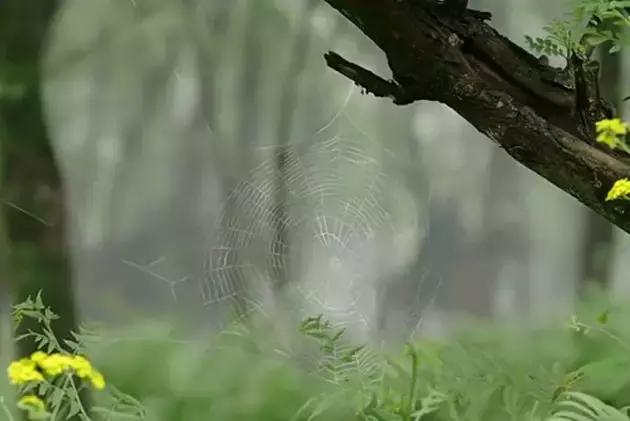 虎啸龙吟三国志,三国虎啸龙吟黄巾之乱