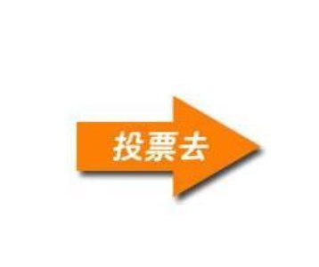 微信投票怎么投票快,微信投票如何快速投票1000票