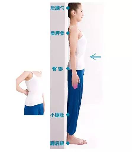 吴昕吃的保养品有哪些,吴昕的护肤秘籍大放送