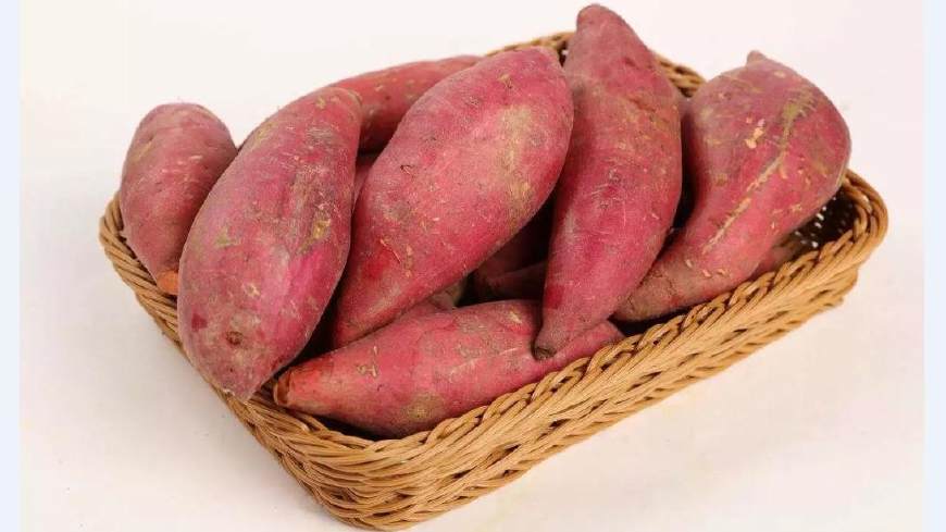 野钓能用什么鱼饵最好,野钓用什么饵避开小杂鱼