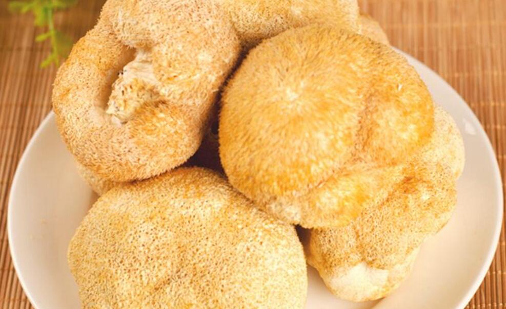 猴头菇适合什么季节煲汤,养生猴头菇怎么吃好吃呢