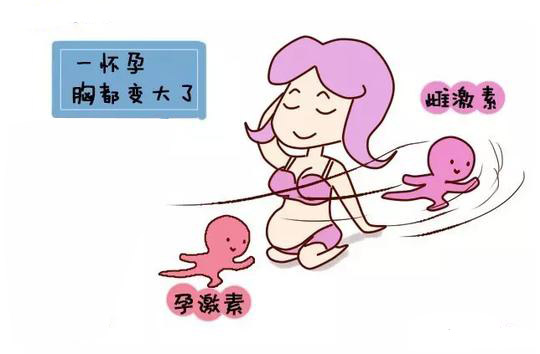 孕妇哺乳文胸选择,哺乳内衣小胸聚拢新款高档文胸