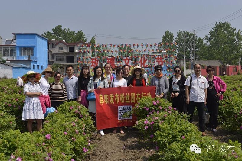 界首有个*瑰园玫**，美爆了！没去别后悔~