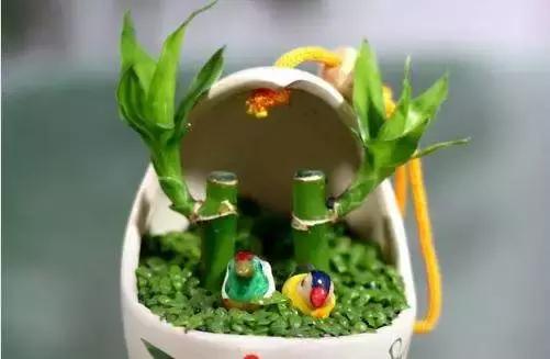 选花技巧和方法,各种花的养花技巧和方法