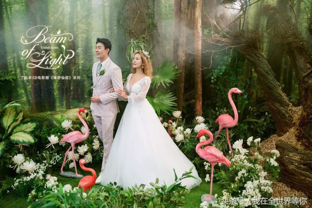 怀孕拍婚纱照关注事项,怀孕拍婚纱照需要准备哪些用品