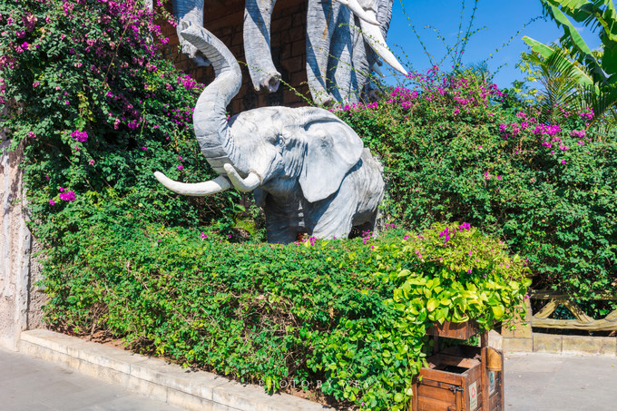 面面旅拍—诉不完千古泪，道不停三亚情，这个冬天我们掌心有太阳