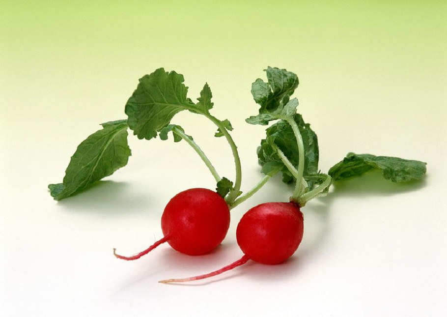 《家有妙招》第四期：发现你身边的“毒”蔬菜！实力分享购菜技巧！