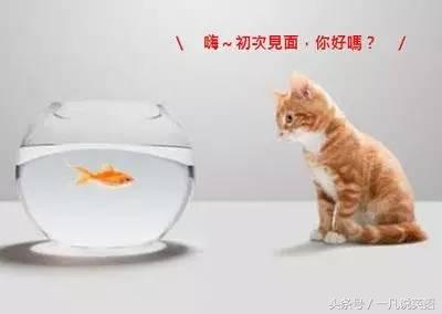 儿童阅读双语故事的好处,阅读给人带来温暖的名人事例