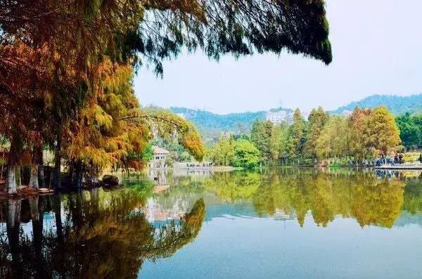 哄女友开心的绝招,哄女朋友的旅游攻略