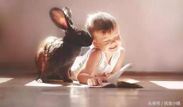 绘本阅读时不可忽略的细节,阅读绘本中容易出现的误区有哪些