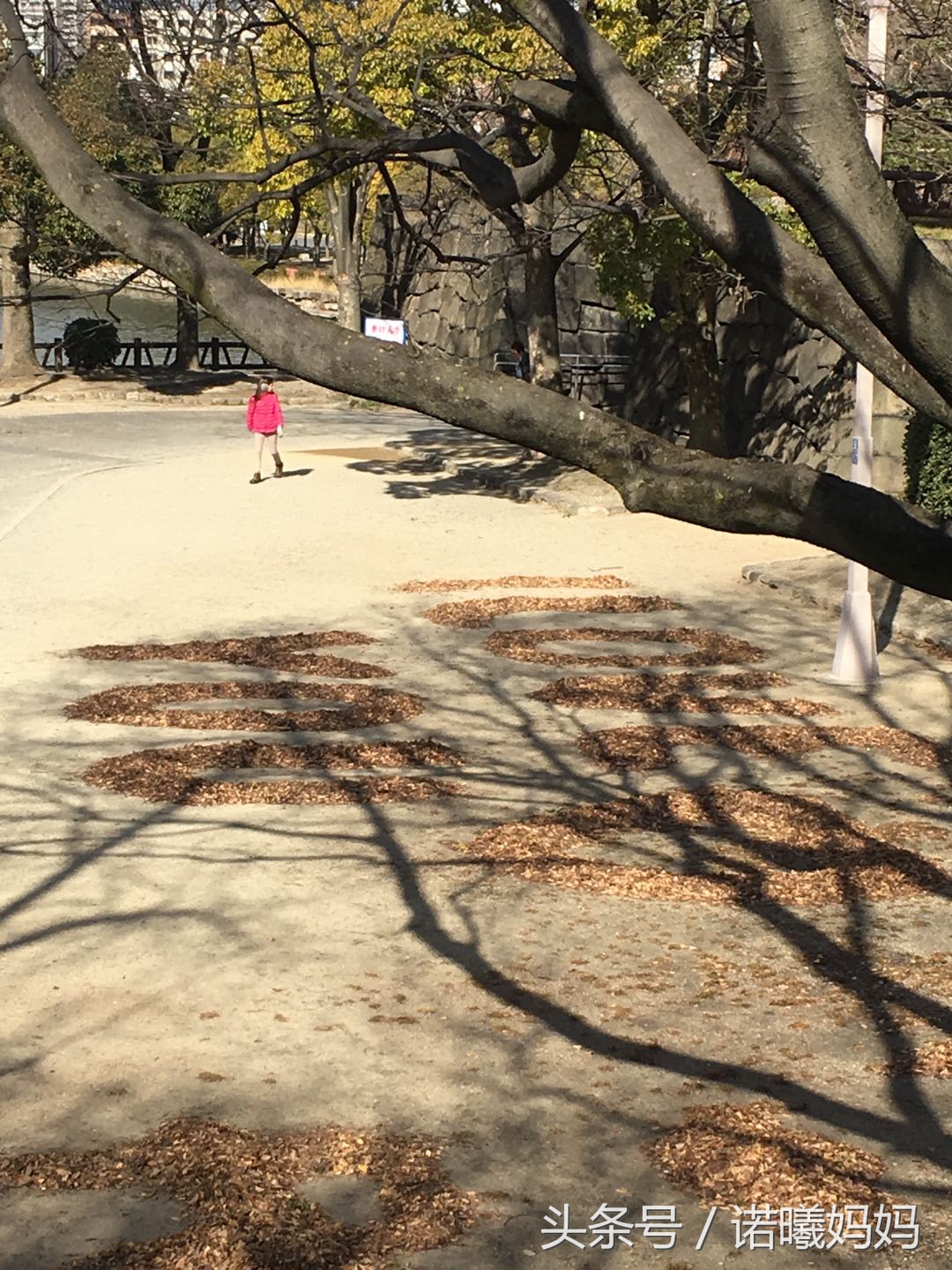 游记：完全不懂日语的妈，竟带俩娃自助游日本！