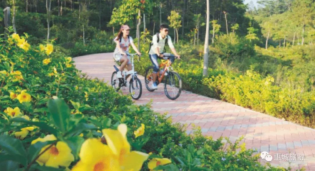 有颜值又有内涵惠城这张旅游名片送给你收好不谢！