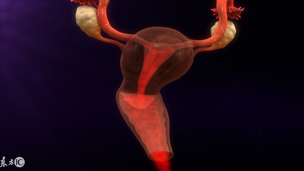 病理报告子宫内膜增生伴不典型,病理诊断子宫内膜呈增生期反应