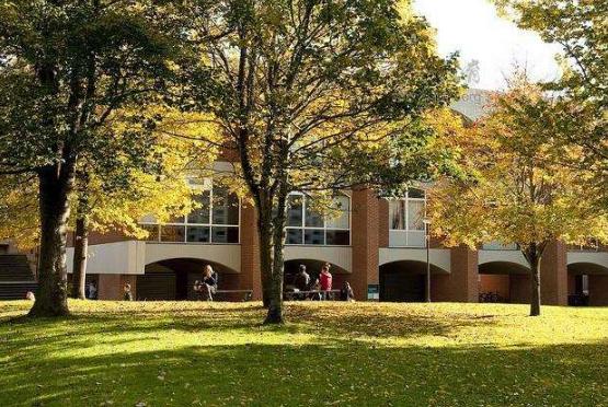 英国大学研究生实习课程,英国大学硕士课程一览表