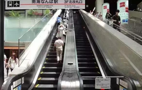 蛙不着家！空巢老母亲就将它去的地方、买的珍品统统扒了一遍！