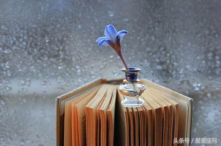 犯太岁碰上星座运势特别好,流年太岁的运势