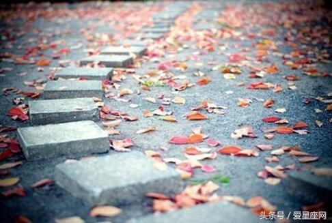 犯太岁碰上星座运势特别好,流年太岁的运势