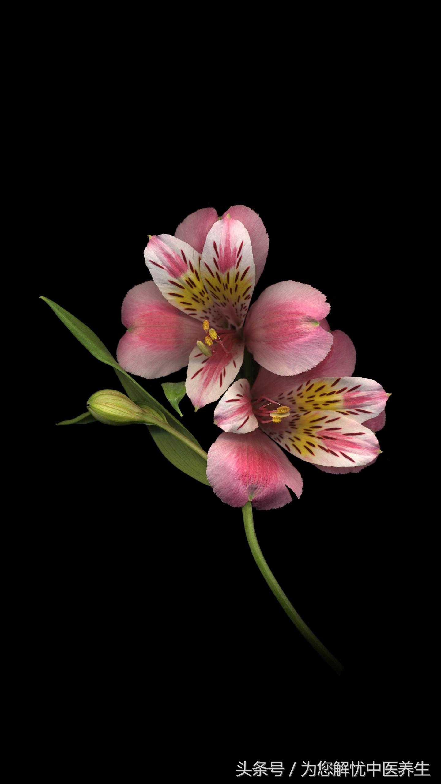 一次性说清辐射问题,查过敏到底是怎么回事