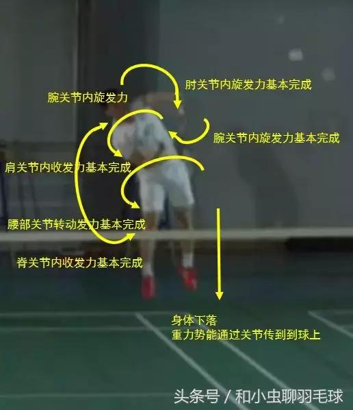 如何学会发力,教你学会发力