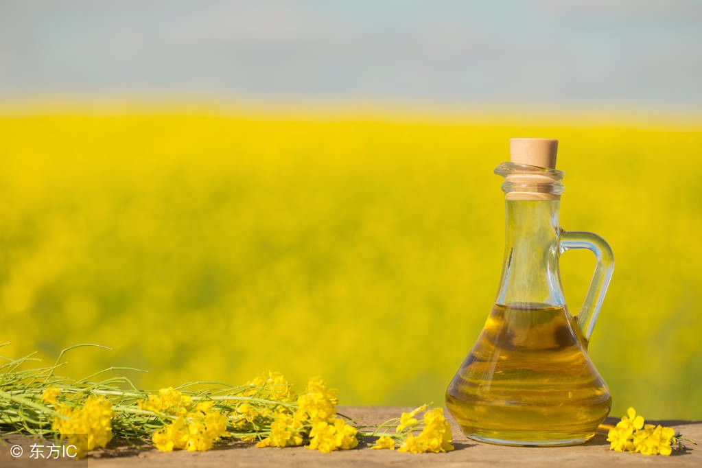 菜籽油低芥酸健康吗,菜籽油低芥酸有害吗